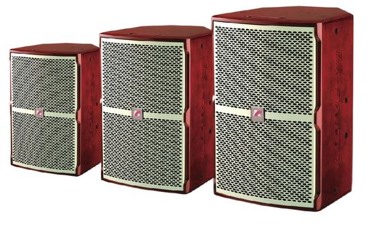 Ultra Güçlü Düşük Frekanslı KF Serisi KTV Hoparlörü 45Hz-20KHz 250W 300W 400W Çeşitli Karmaşık Ses