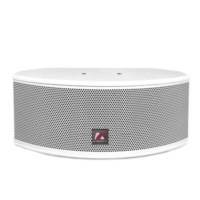 KP Serisi Ev Cinerma Audio Orta Hoparlör Çevre ve Orta Kanal Müzik Ses Güçlendirme